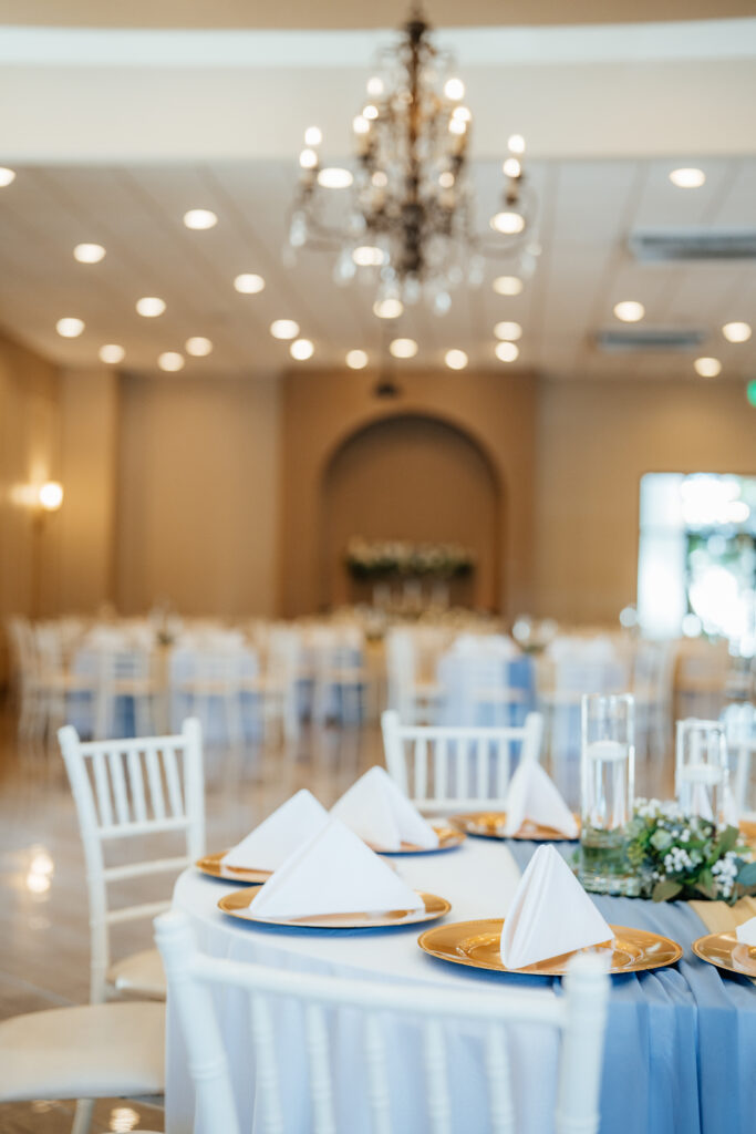 temperature controlled ballroom for wedding reception and events. Elegant, dimmable lighting, chandeliers, bridgerton style, timeless, classy